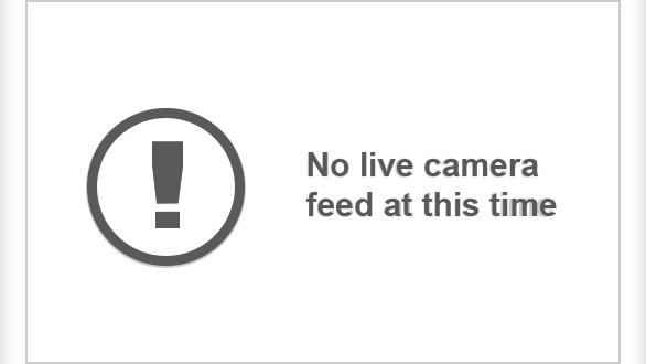 Traffic Cam Shady Grove: CCTV-I-.-WB Player